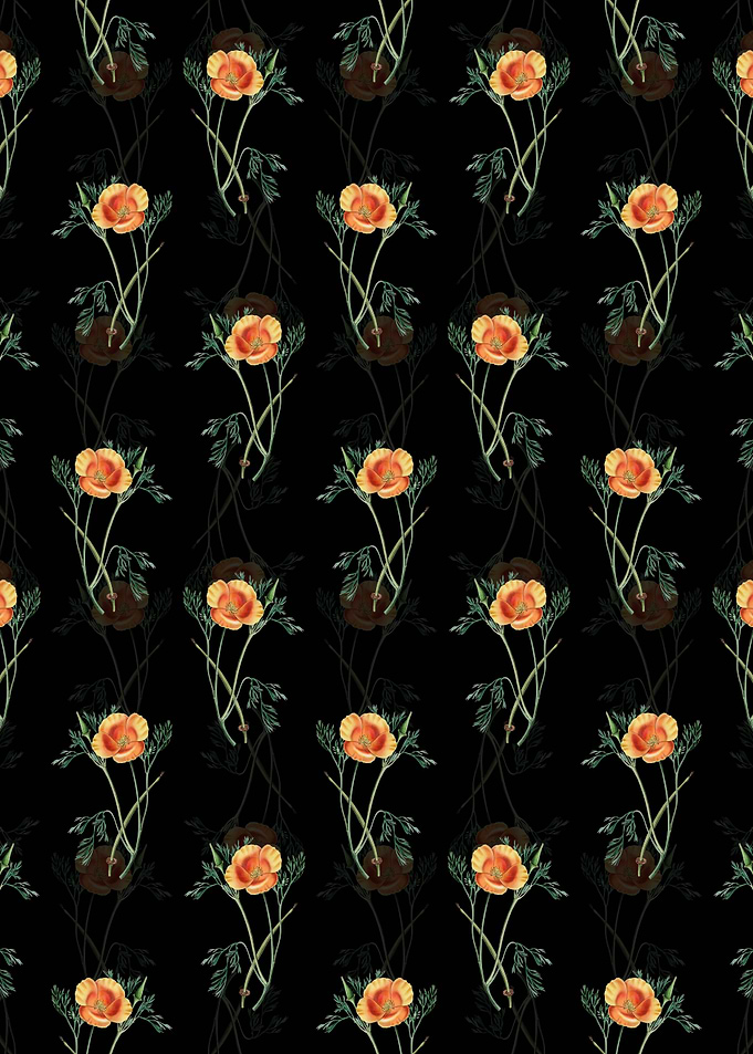 Black Saffron Eschscholzia