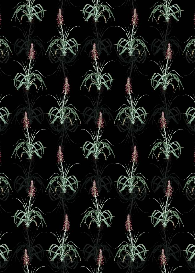 Pina Cortadora Pattern
