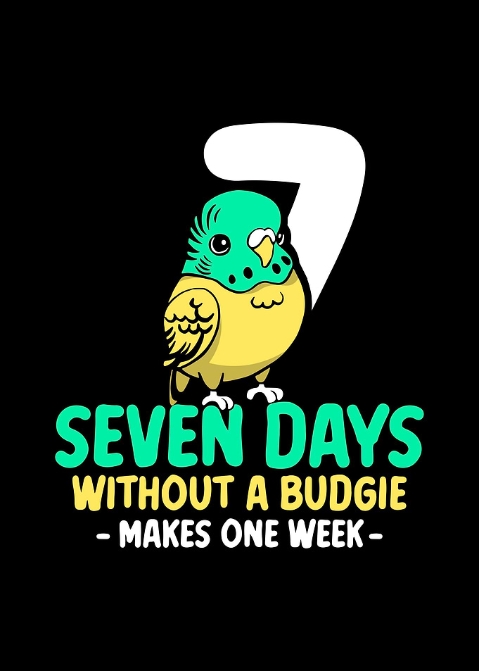Budgie Budgeriga