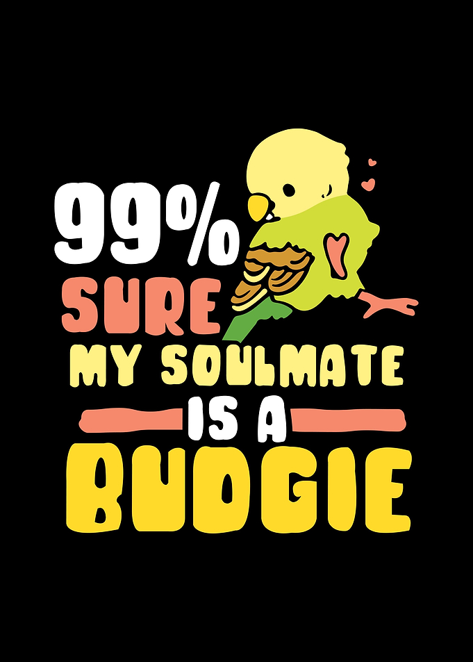 Budgie Budgeriga