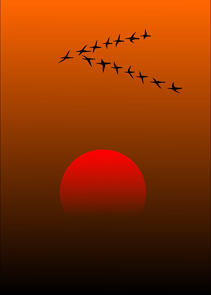 migratory birds