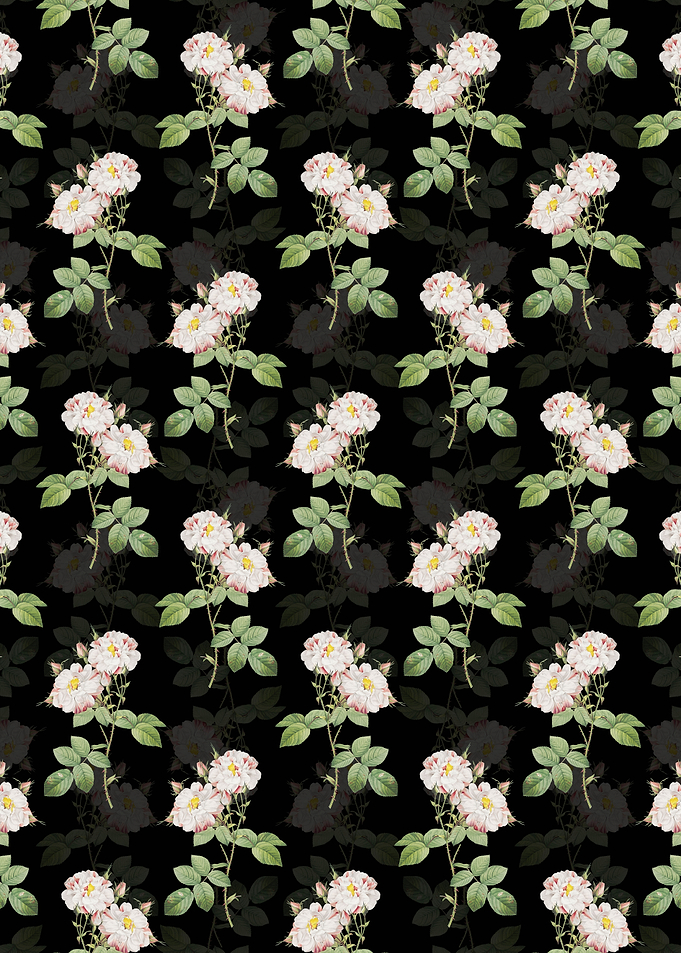 White Damask Rose Pattern