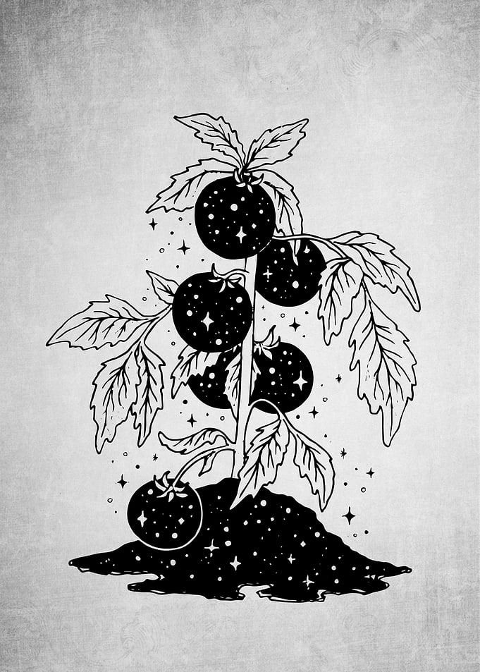 Space Tomato