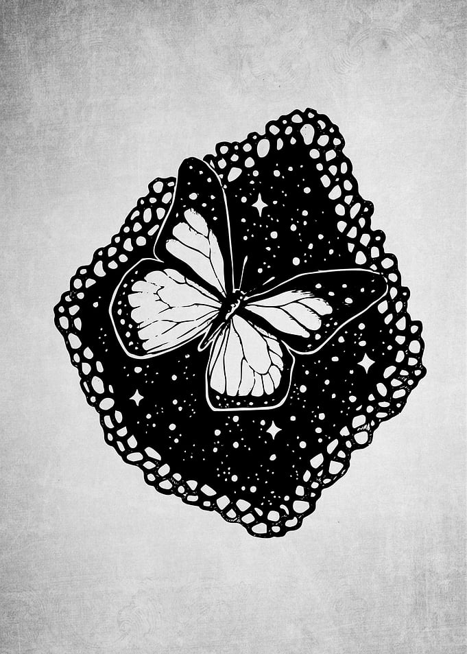Space Fly