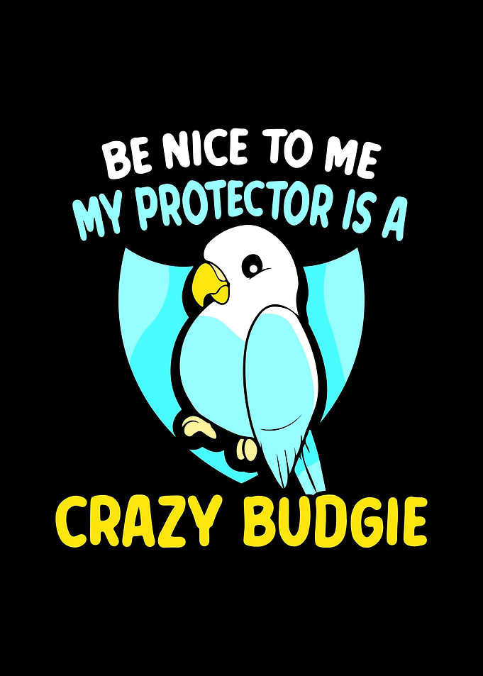 Budgie Budgeriga