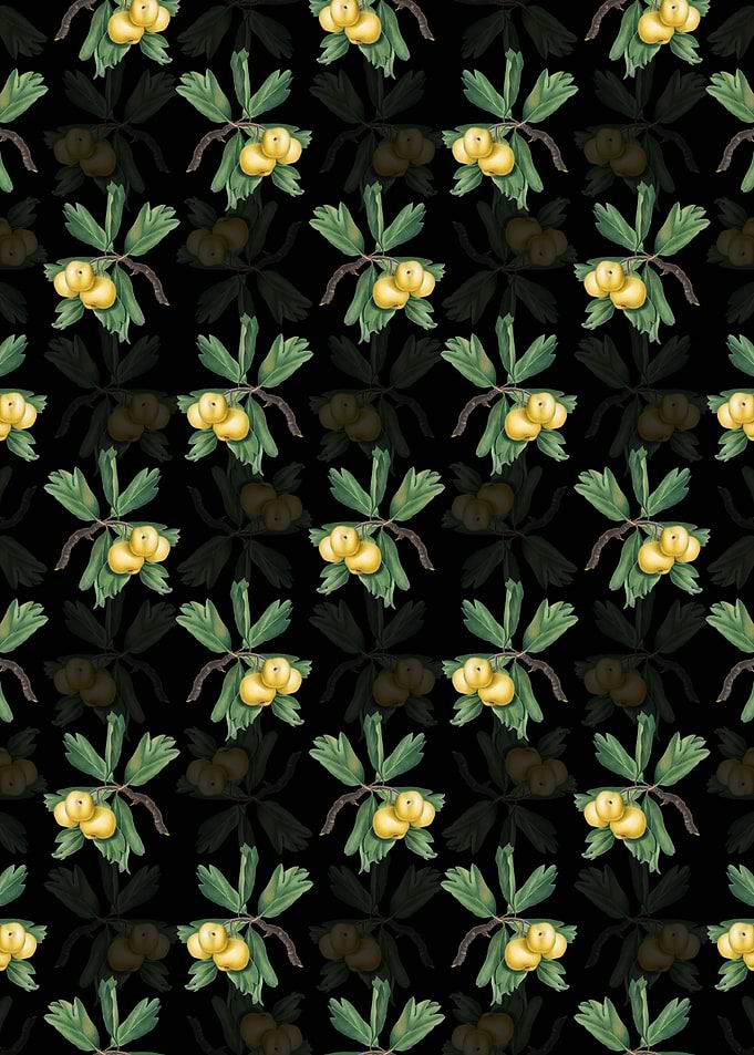 Floral Hawthorne Pattern