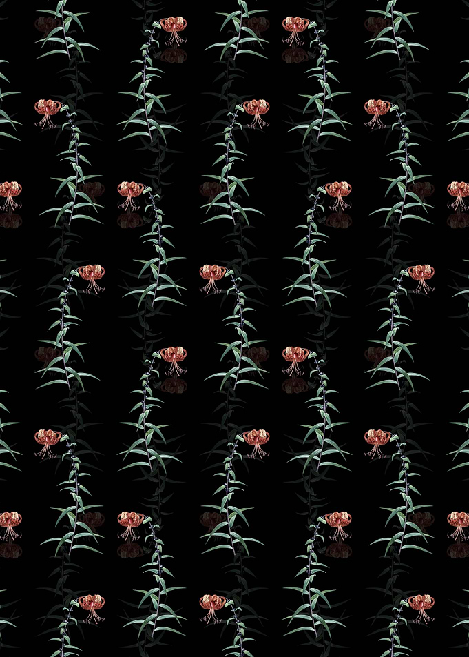 Floral Tiger Lily Pattern
