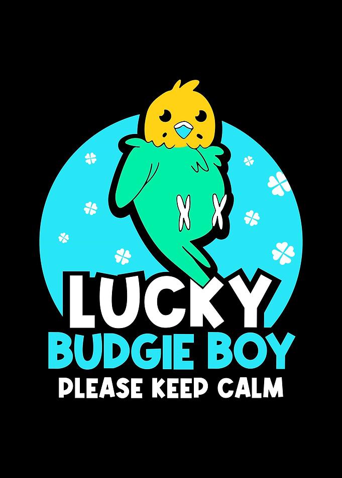 Budgie Budgeriga