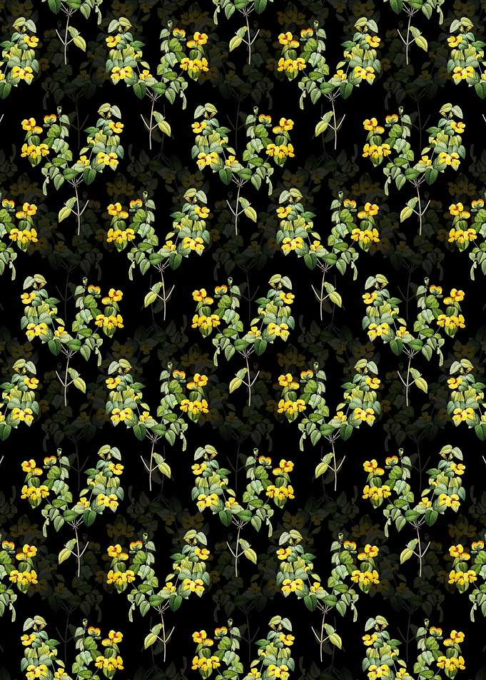 Floral Platilobium Pattern