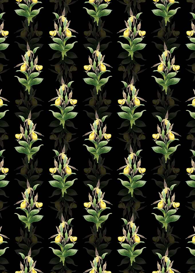 Sabot des Alpes Pattern