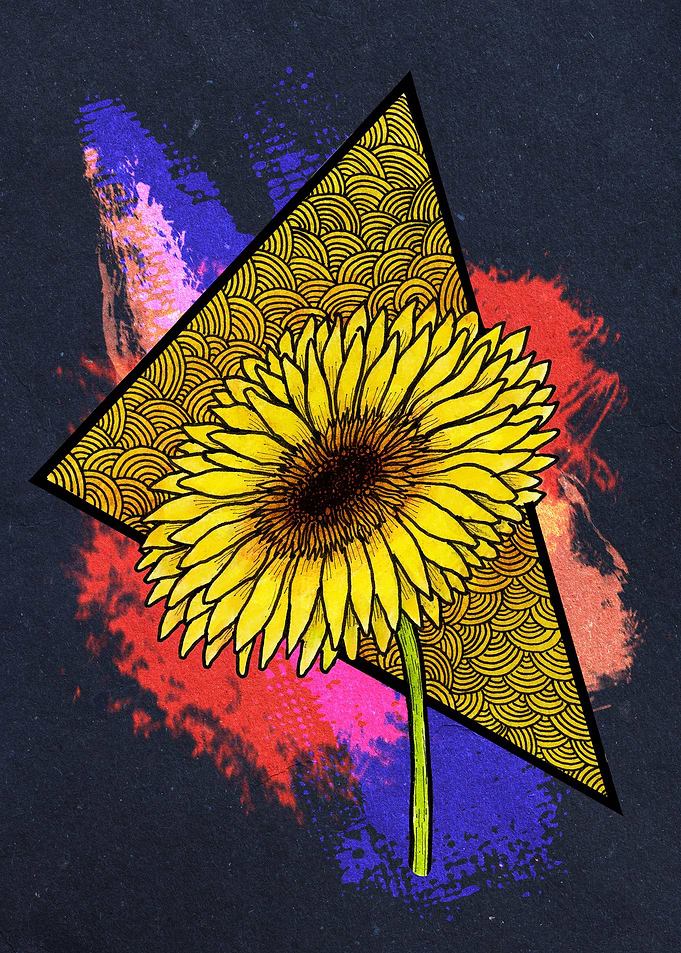 Gerbera Dark