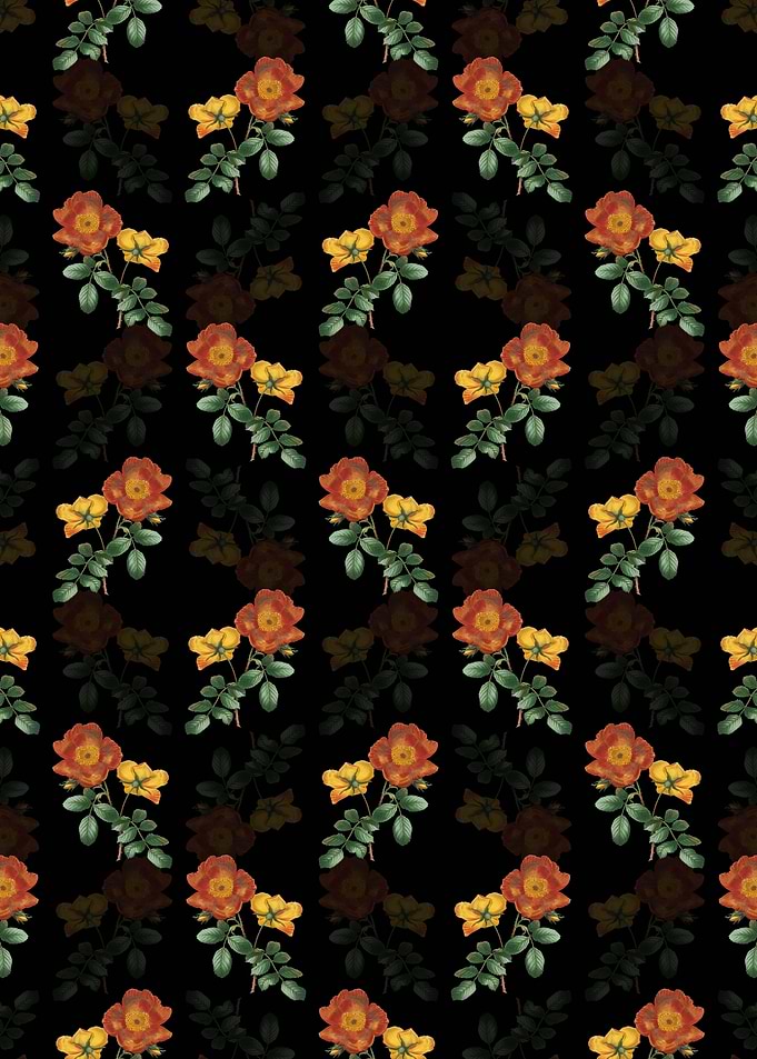 Sweetbriar Rose Pattern