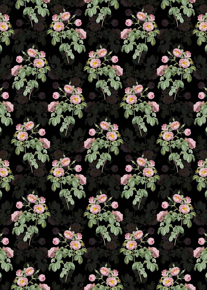 Tomentose Rose Pattern