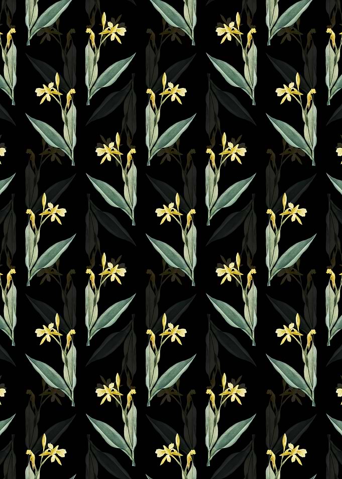 Bandana of the Everglades