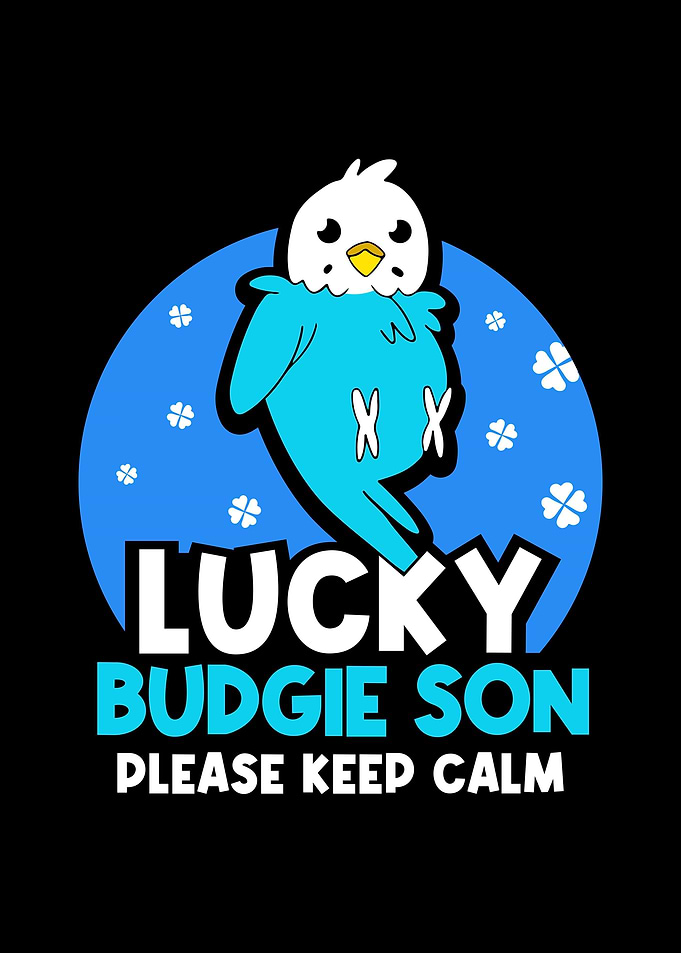 Budgie Budgeriga