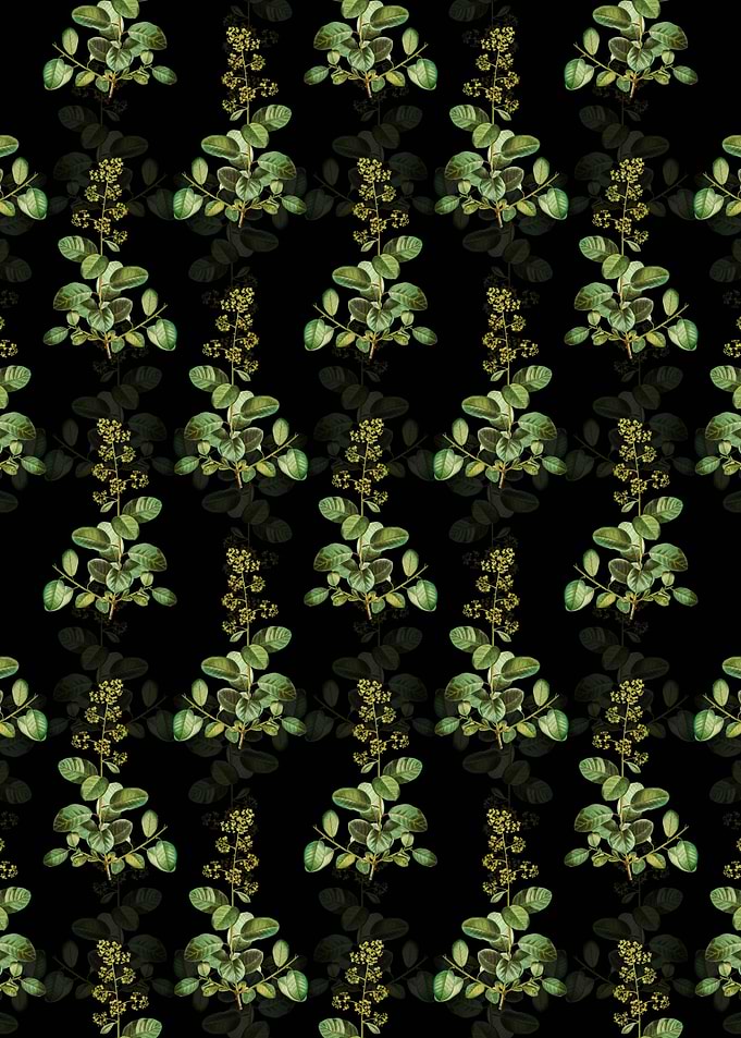 European Smoketree Pattern