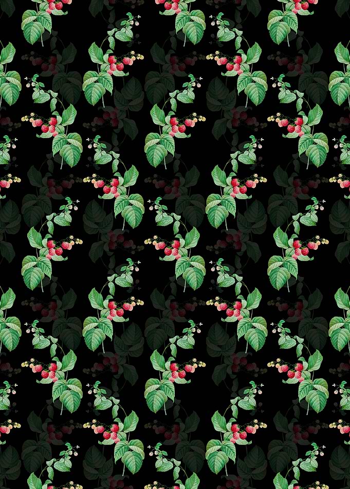 Floral Red Berries Pattern