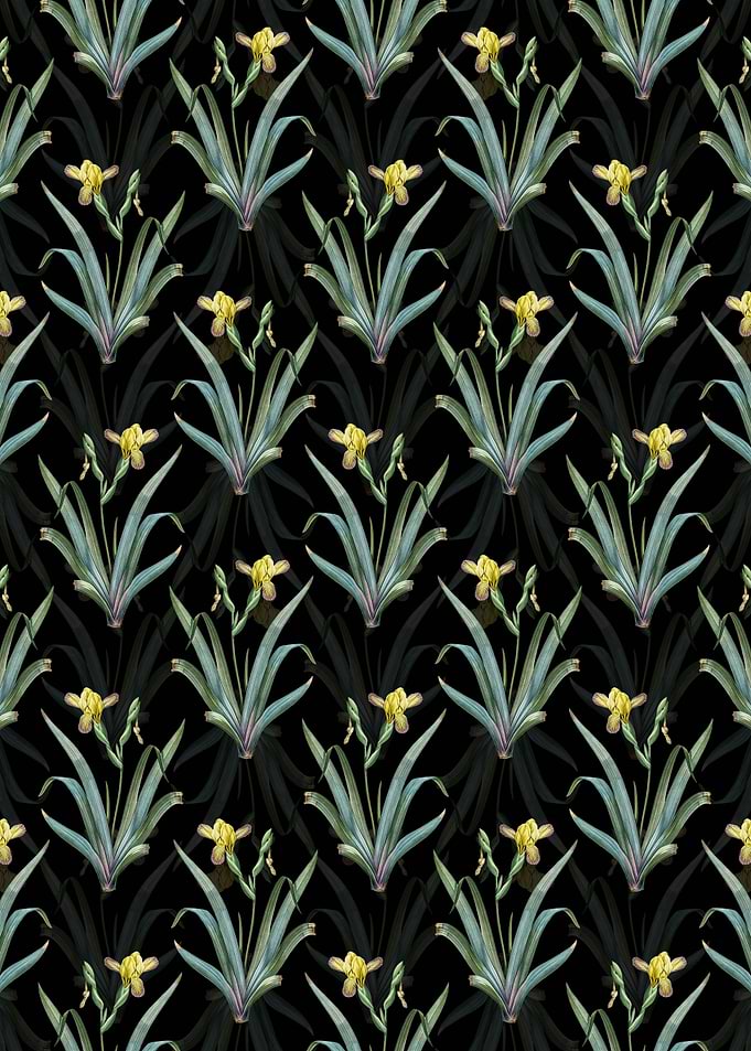 Hungarian Iris Pattern