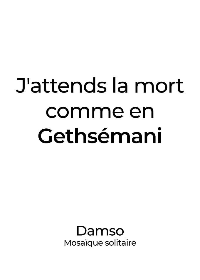 Damso Poster