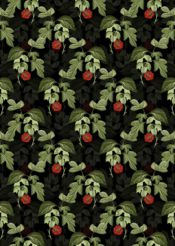 Paper Mulberry Flower