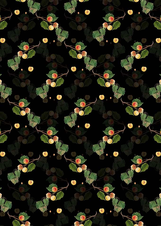 Black Floral Peach Pattern
