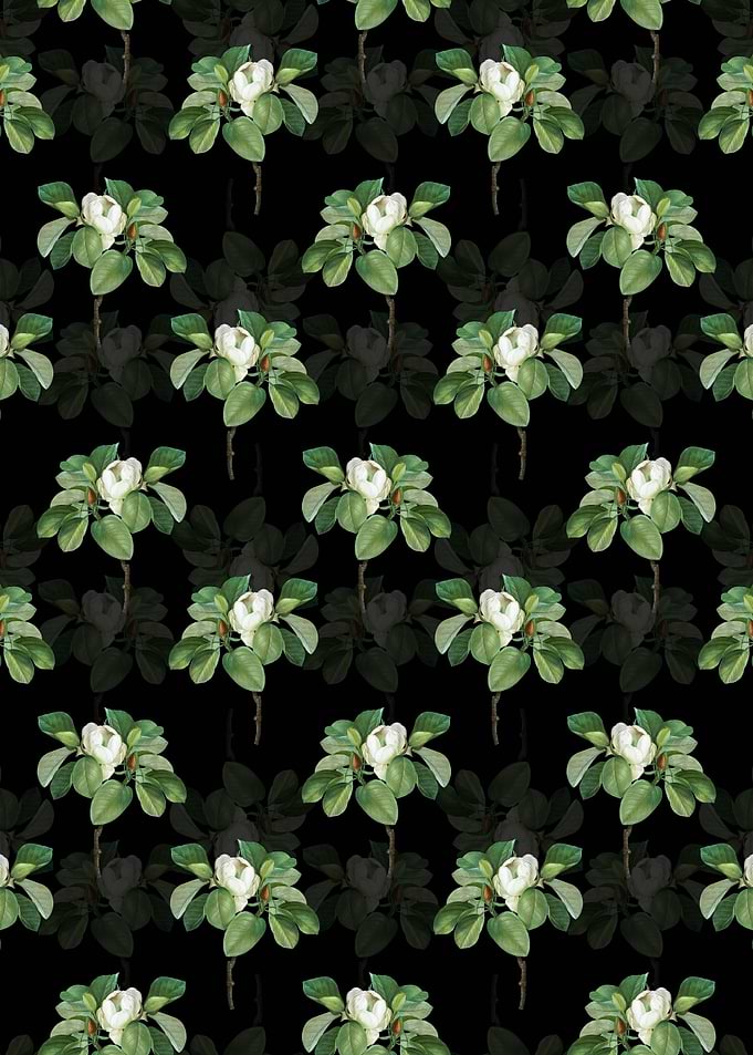 Magnolia Elegans Pattern