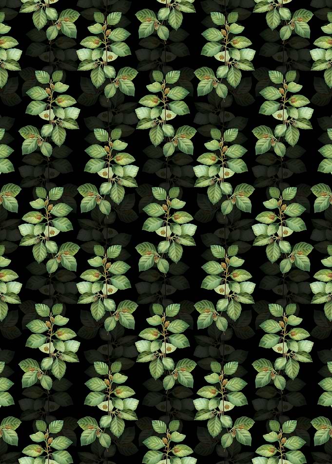 European Beech Pattern