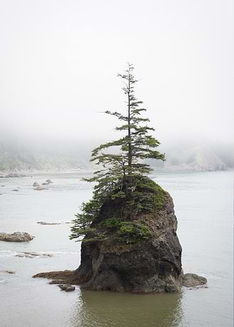 Toleak Point Washington