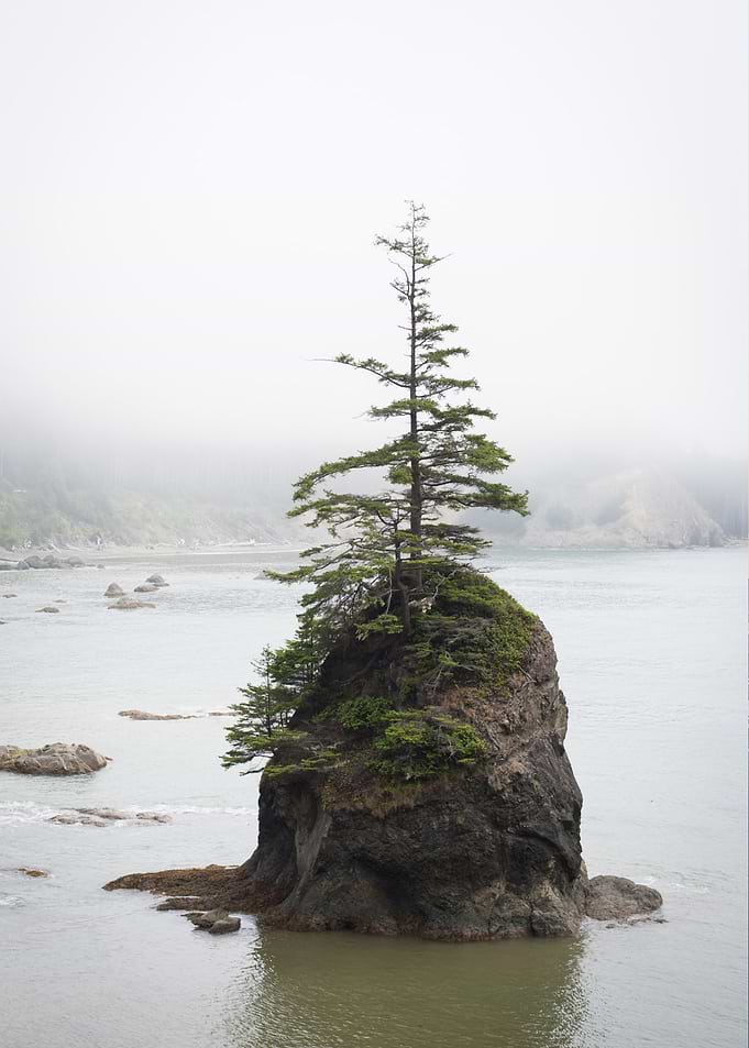 Toleak Point Washington