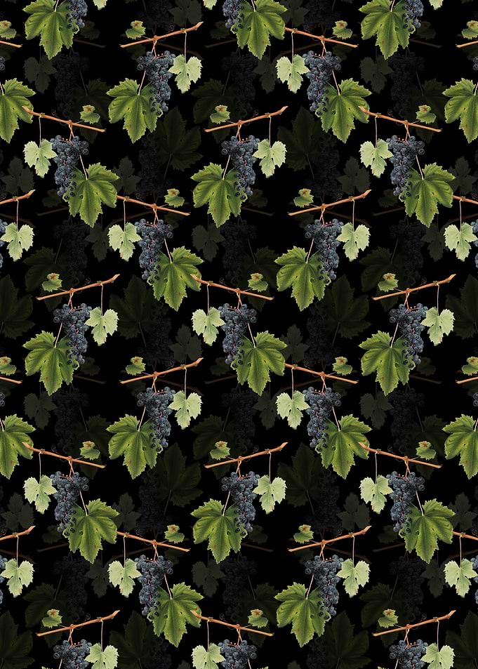 Grape Colorino Pattern