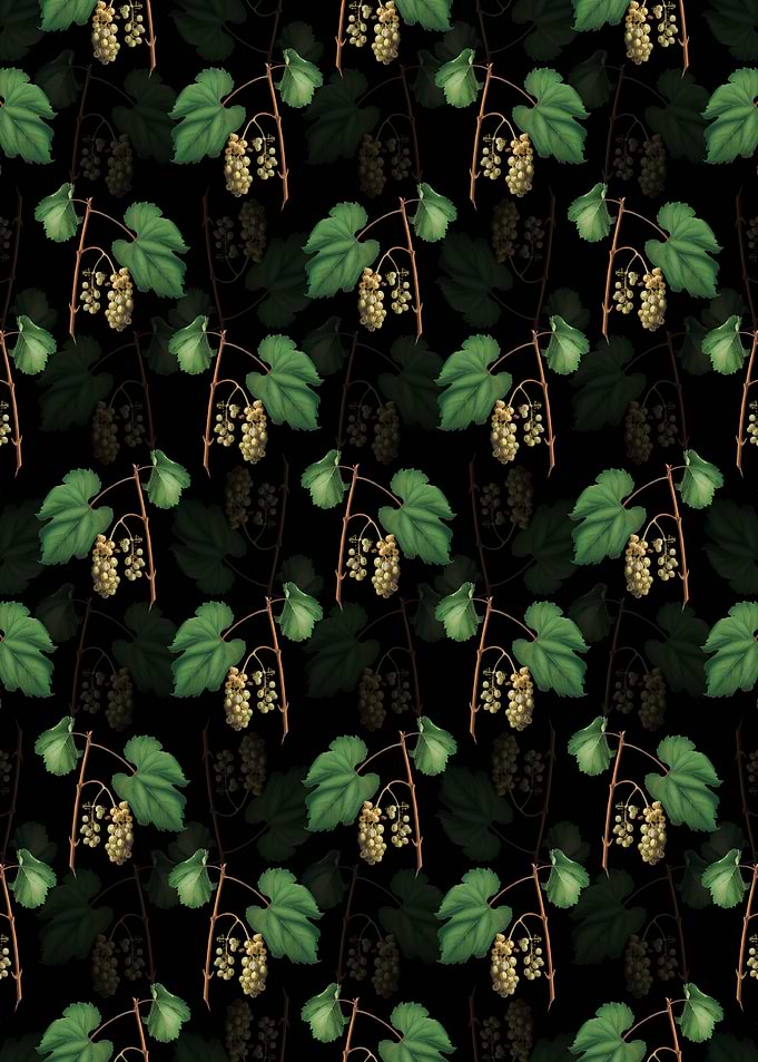 Friulli Grape Pattern