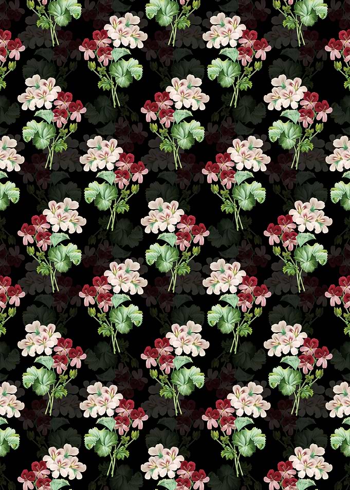 Black Cranes Bill Geranium