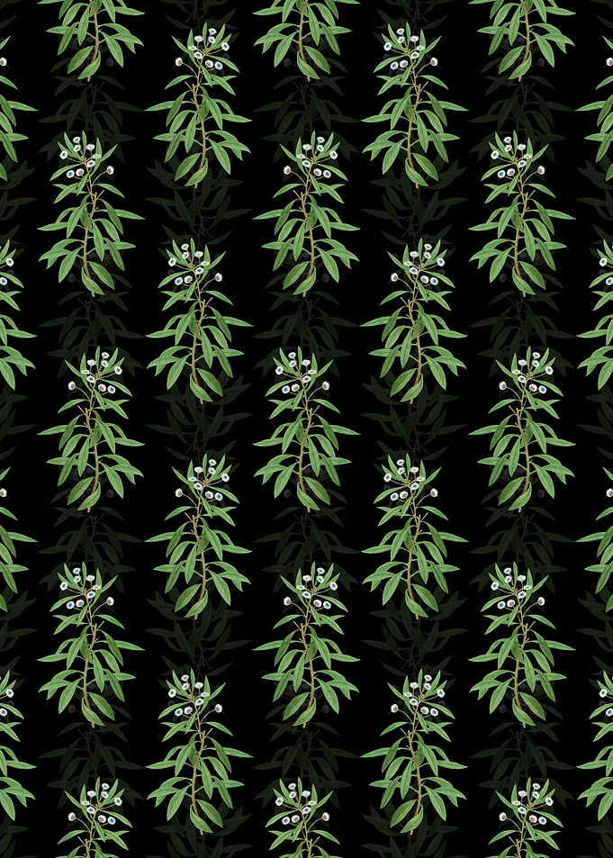 Globe Daisy Shrub Pattern