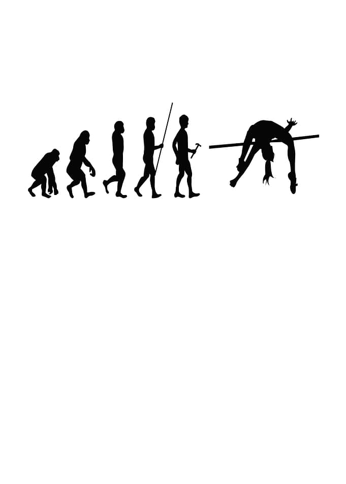 Gymnastics Evolution