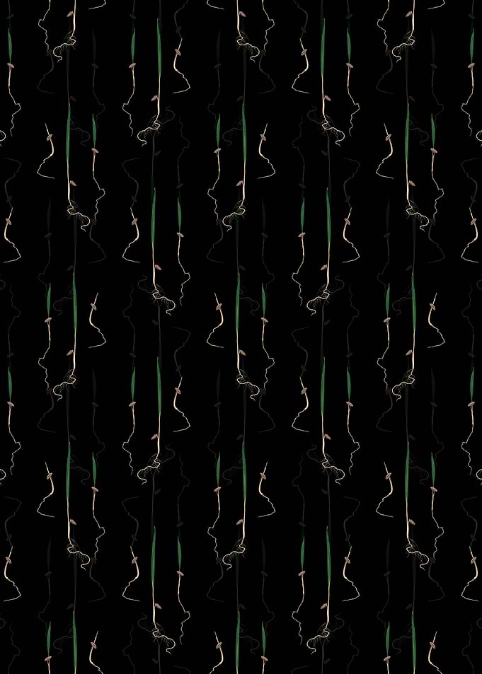 Floral Date Palm Pattern