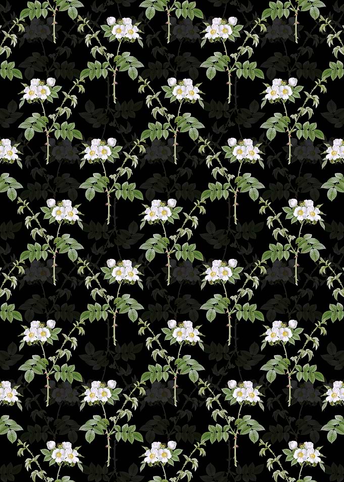 Black White Flowered Rose