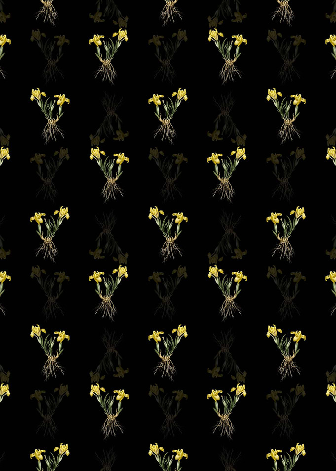 Floral Sand Iris Pattern