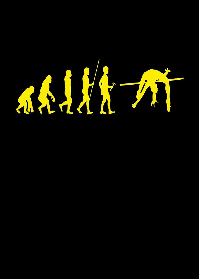 Gymnastics Evolution