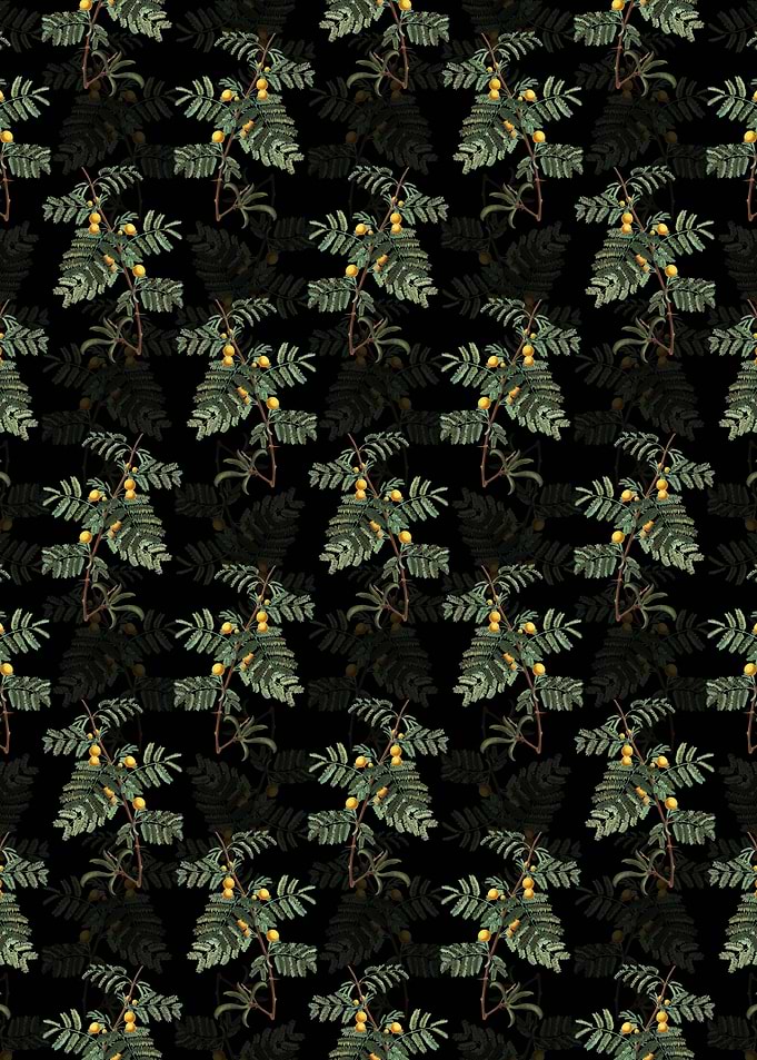 Black Sweet Acacia Pattern