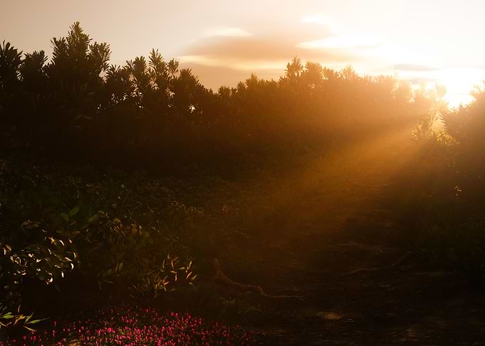 Peeking Sun