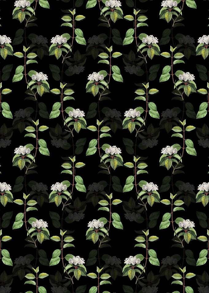 Floral Black Haw Pattern