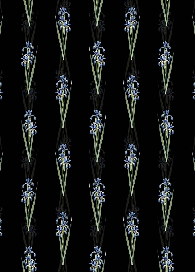 Floral Blue Iris Pattern