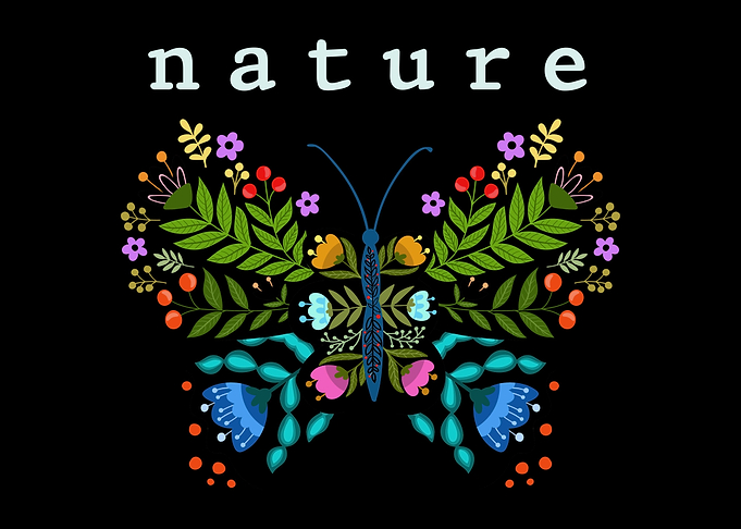 Nature Butterfly Flower
