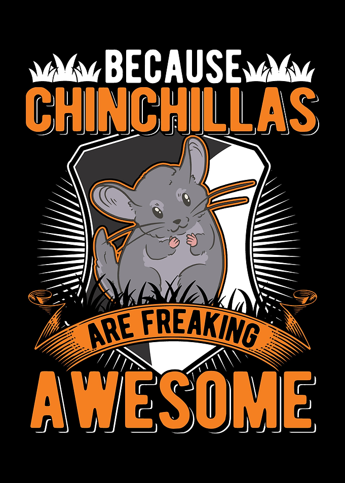 Chinchilla Lover