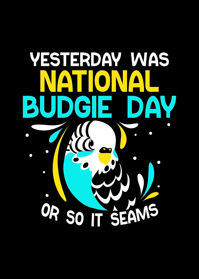 Budgie Budgeriga