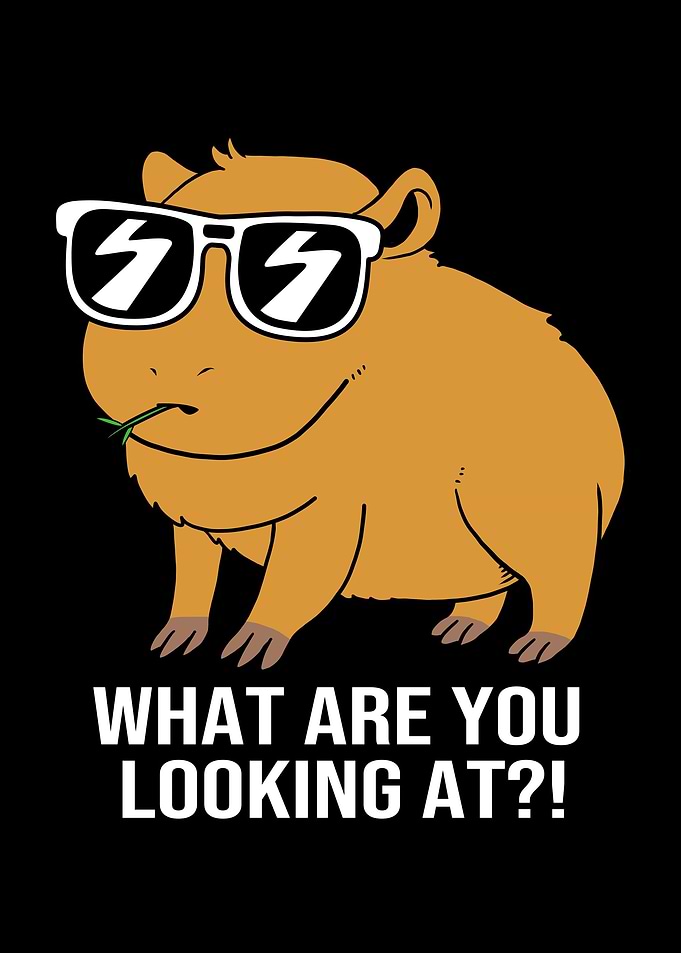 Funny Capybara