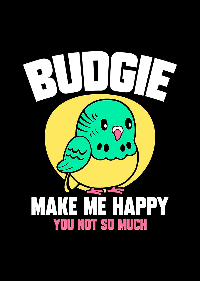 Budgie Budgeriga