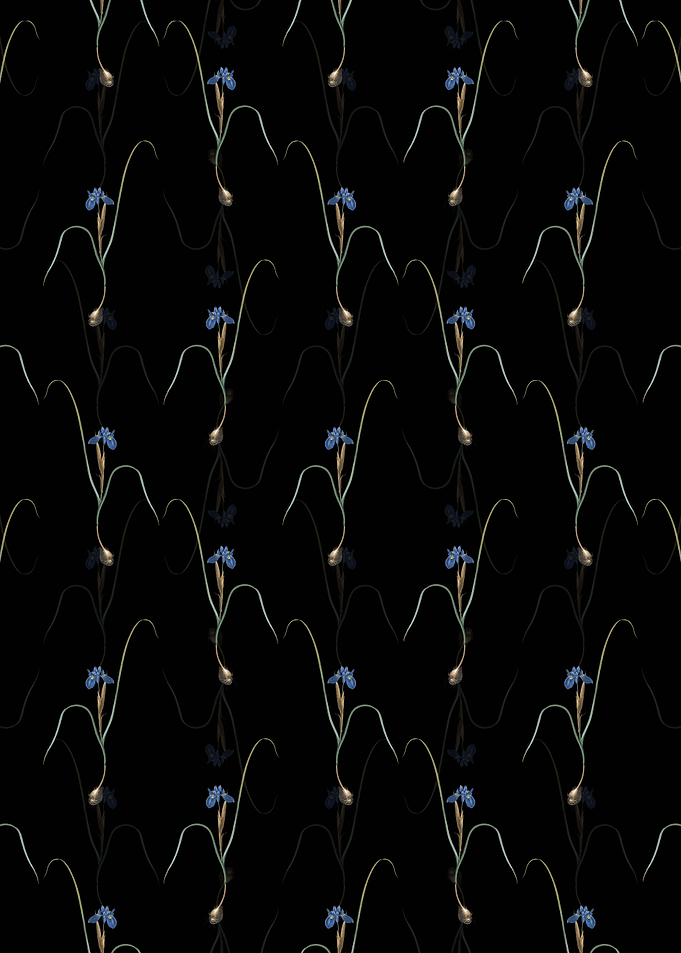 Floral Barbary Nut Pattern