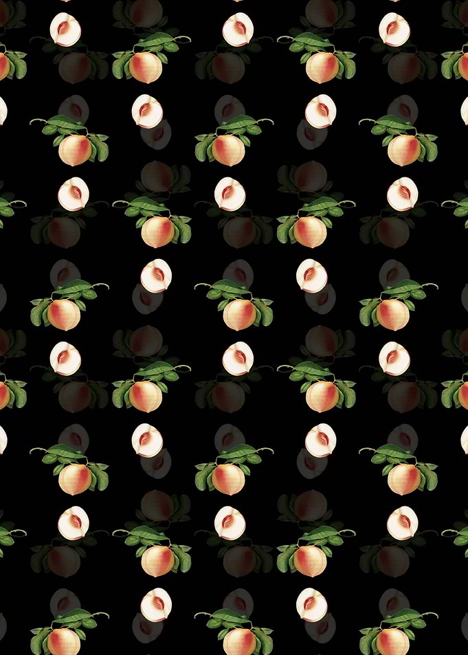 Black Floral Peach Pattern