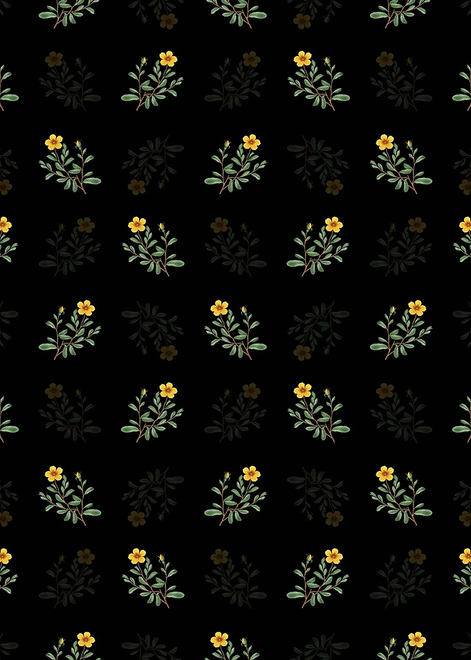 Sweetbriar Rose Pattern